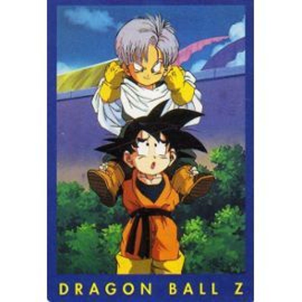 COLLECTION CARTES DRAGON BALL Z s&eacute;rie 1 - FRANCE 