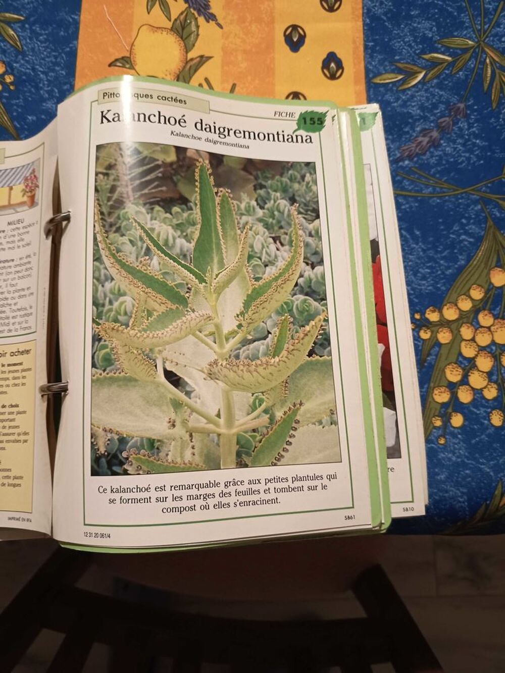 Livres sur la culture des plantes Livres et BD