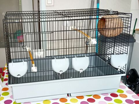 cage oiseaux 25 44300 Nantes
