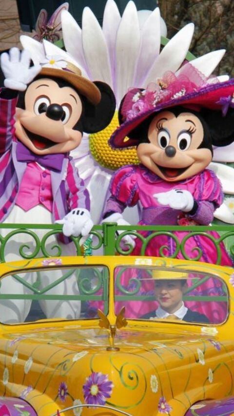 EURO DISNEY RESSORT 0 Toulouse (31)