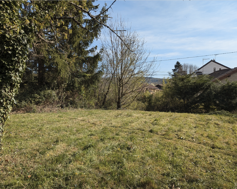 Vente Terrain TERRAIN A BATIR 1350 M2 PROCHE COMMERCES, AU CALME, AU VERT Saint-amour