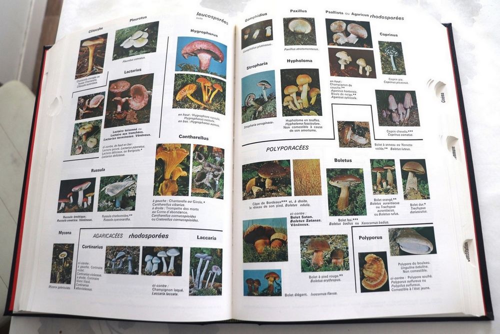 Dictionnaires encyclop&eacute;diques QUILLET ann&eacute;e 1977 Livres et BD