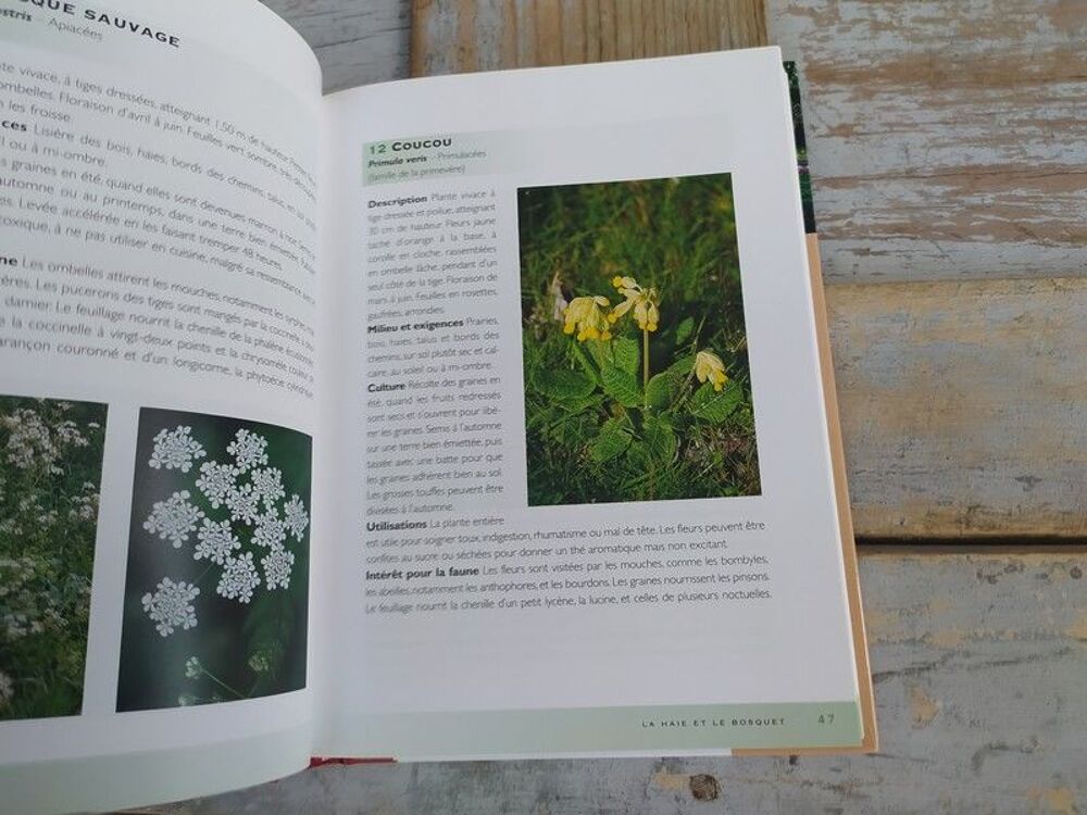 Livre Delachaux et Niestl&eacute; Le Jardin Naturel 
Livres et BD