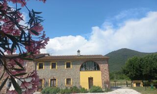  Maison � vendre 15 + pi�ces 540 m� Pise, pi, italia