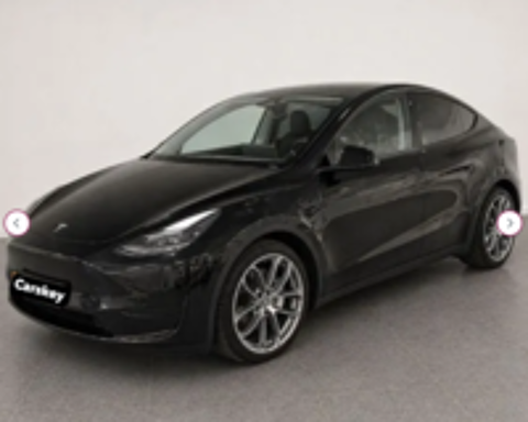Model Y MODEL Y Standard RWD 2023 occasion 75008 Paris