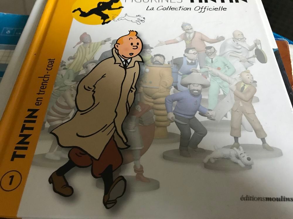 LIVRE EFFIGIE TINTIN Livres et BD