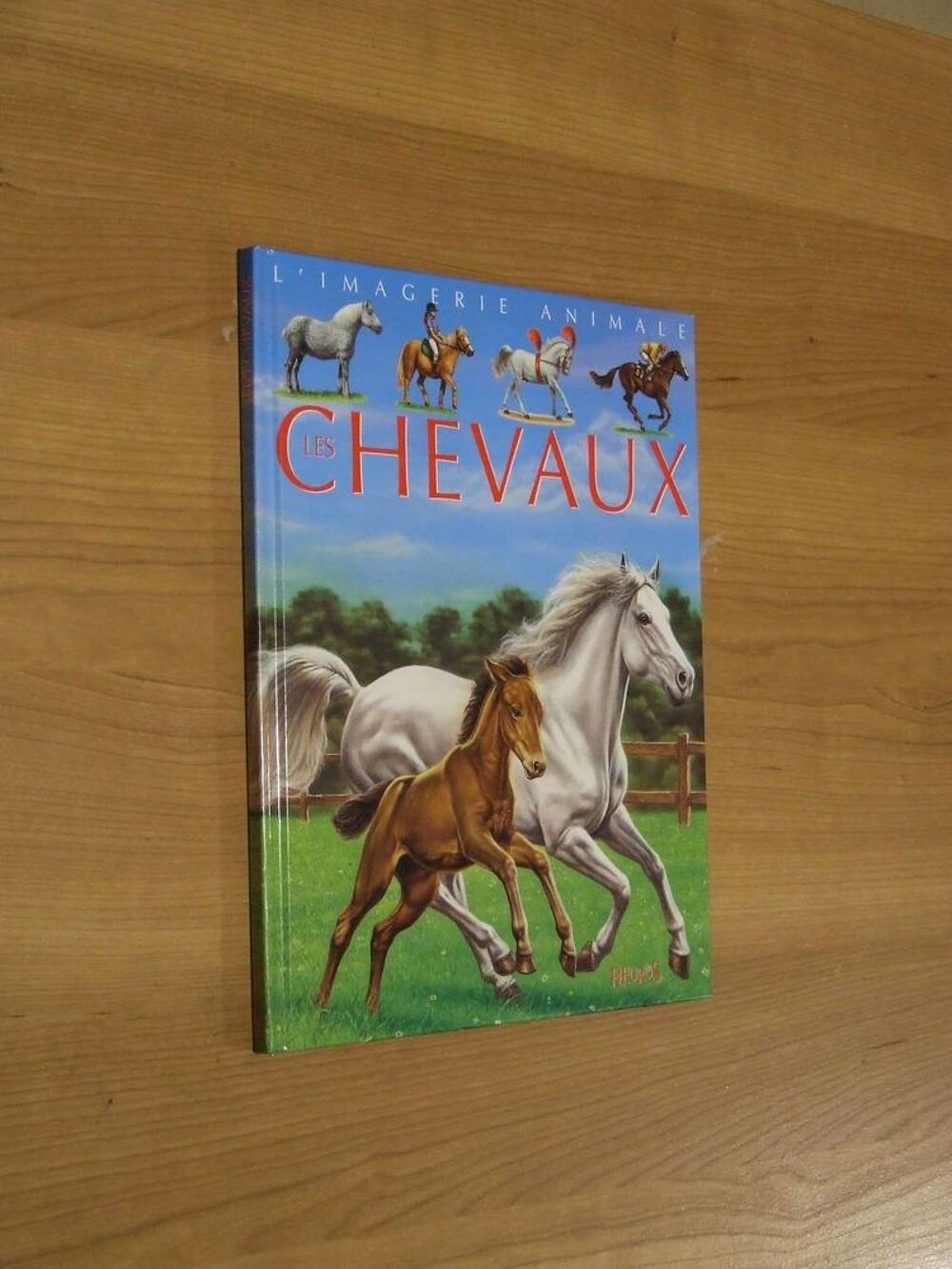 Livre, Les chevaux, de Emilie Beaumont, TBE Livres et BD