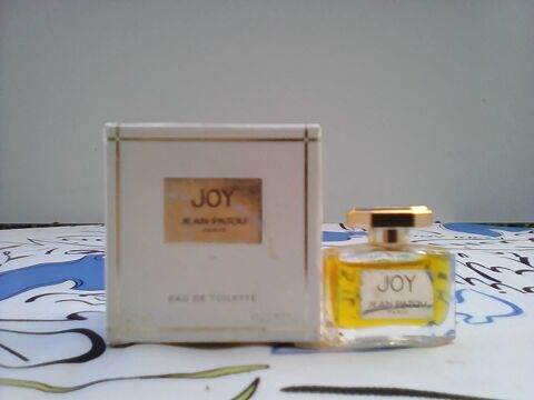 MINIATURE DE PARFUM 8 Trouy (18)