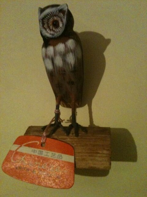 QUELQUES CHOUETTES HIBOUX SUPPLEMENTAIRES 80 Bosc-le-Hard (76)