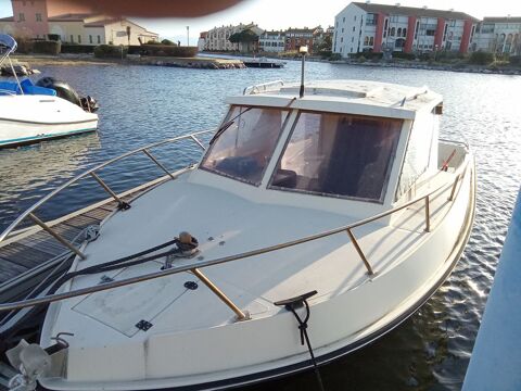 Bateaux à moteur Pêche-promenade 1989 occasion Bragayrac 31470