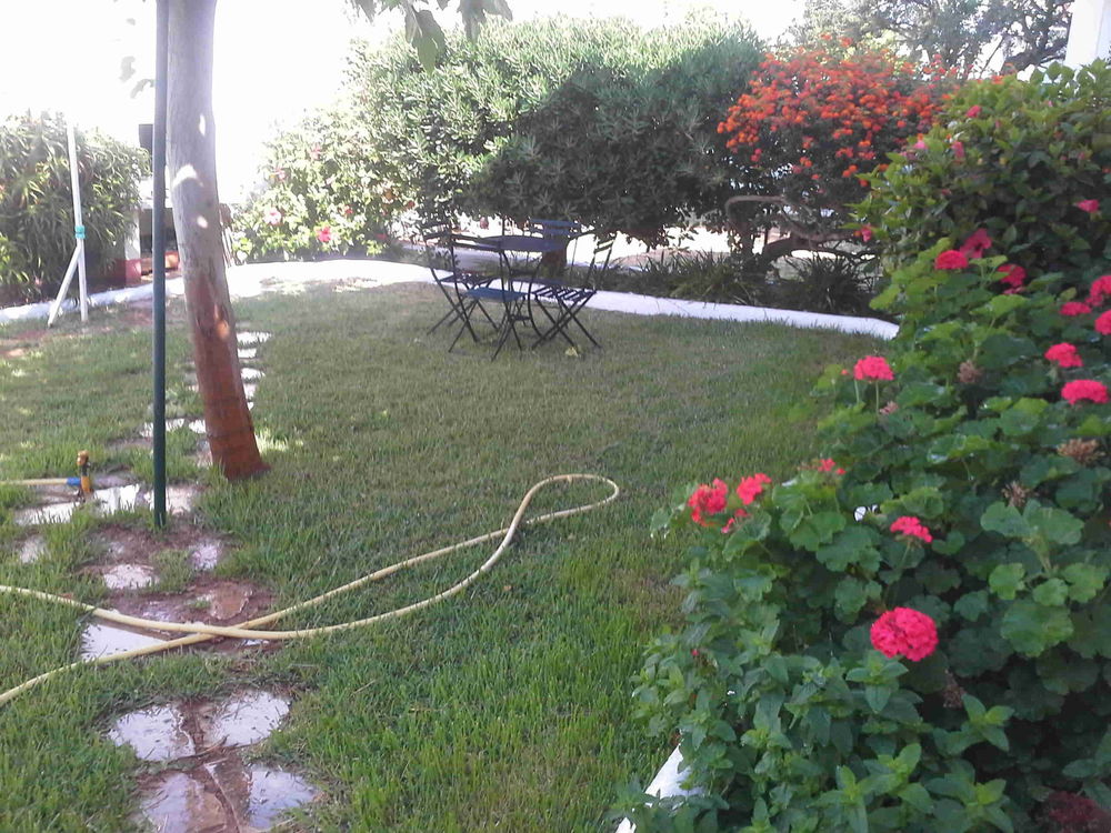   APPARTEMENT DANS VILLA A VINAROS PRES DE PENISCOLA Espagne, VINAROS