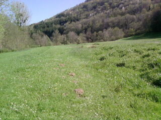  Terrain à louer 16000 m² Castres