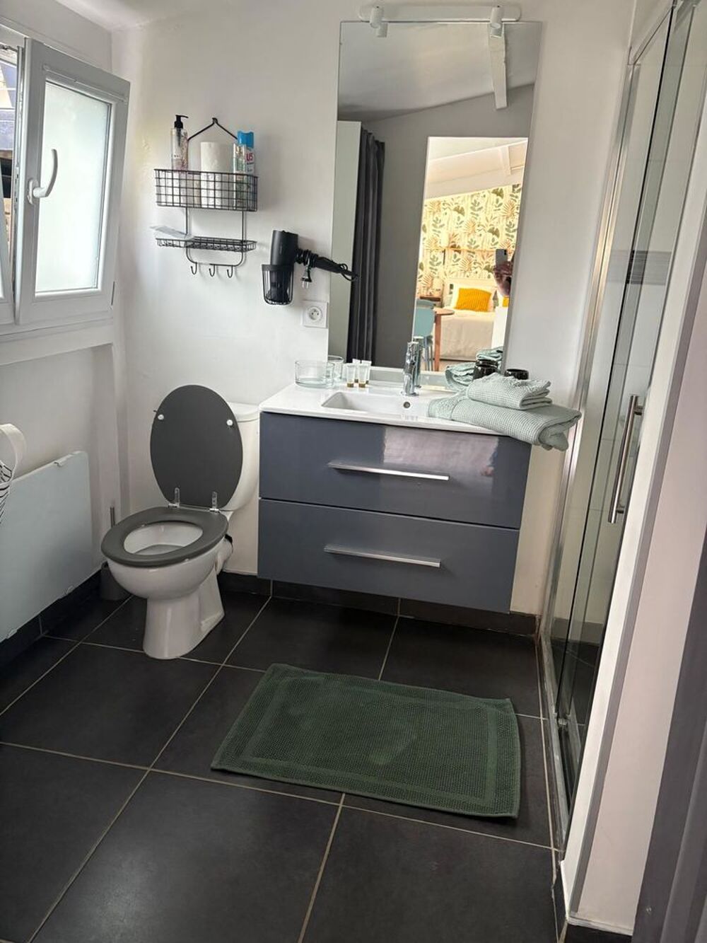 Location Appartement Studio dans mon jardin Vaires-sur-marne