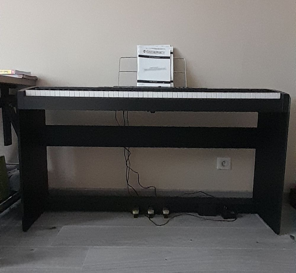 Piano sp100 McGrey 88 touches Instruments de musique