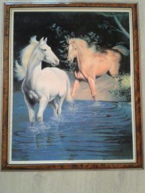 POSTER CHEVAL ENCADR
15 Juan Les Pins (06)
