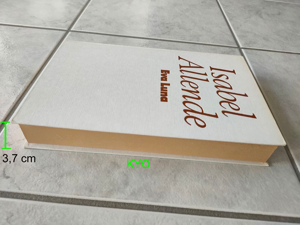 Isabel Allende - Eva Luna - Livre Grand format-Tr&egrave;s bon &eacute;tat Livres et BD