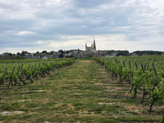  Terrain � vendre 260000 m� Le puy-notre-dame