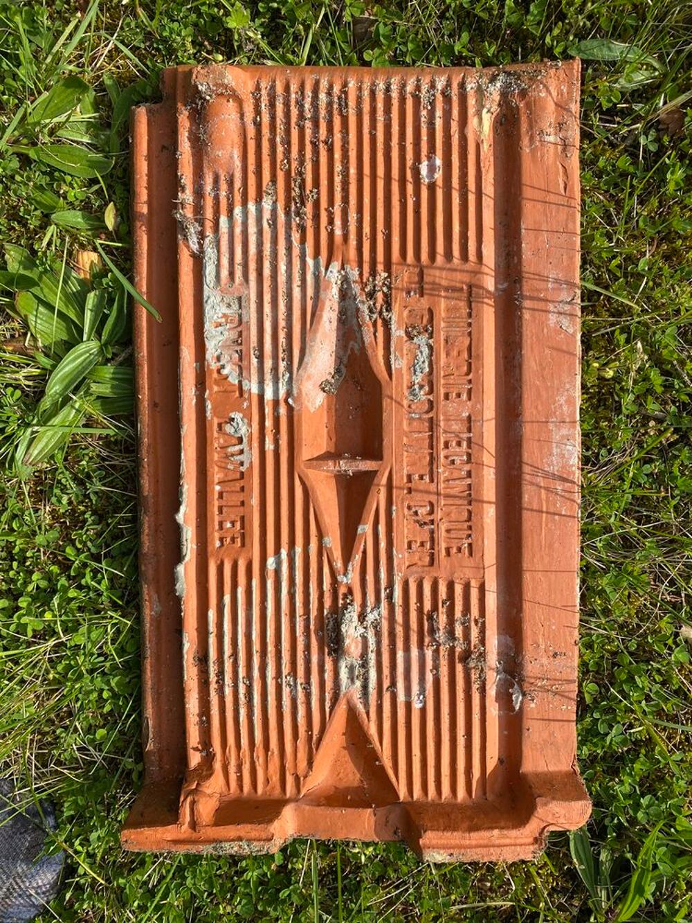 Tuiles de mur de Grossouvre/Cher Jardin