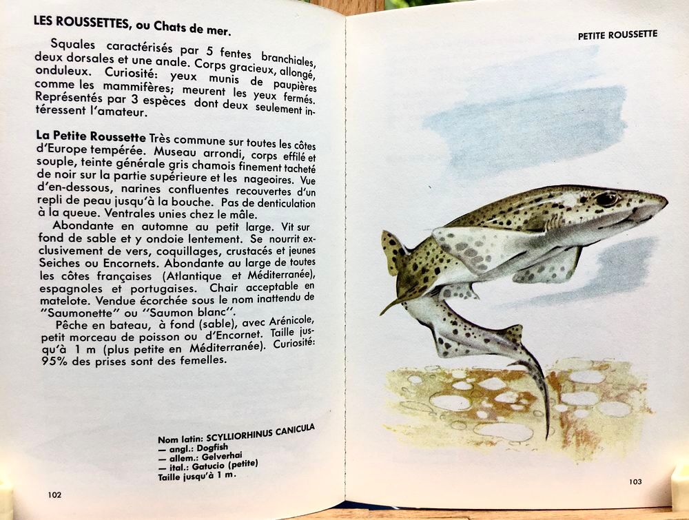 P&ecirc;che en mer de T.Burnand ; Livre de 160 pages Livres et BD