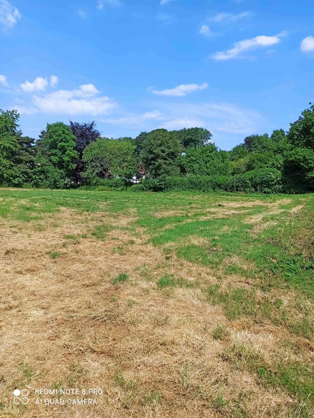 Vente Terrain TERRAIN CONSTRUCTIBLE DE 3936 M2 BERNIEULLES Bernieulles