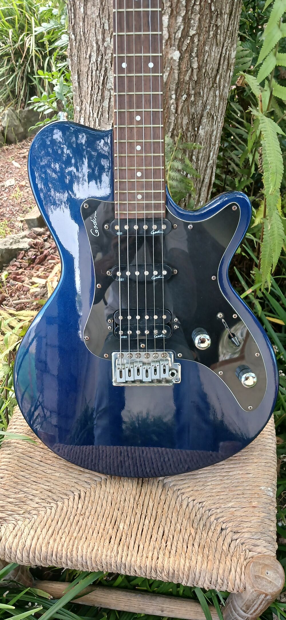 GUITARE ELECTRIQUE GODIN MODELE SD PARFAIT ETAT Instruments de musique