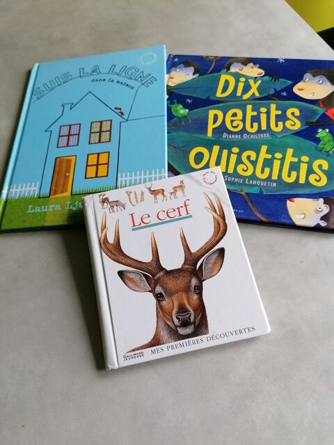 Lot de livres enfant 10 Jury (57)