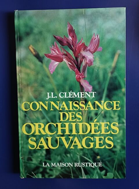 J L CLEMENT : connaissance des orchides sauvages  14 Montauban (82)