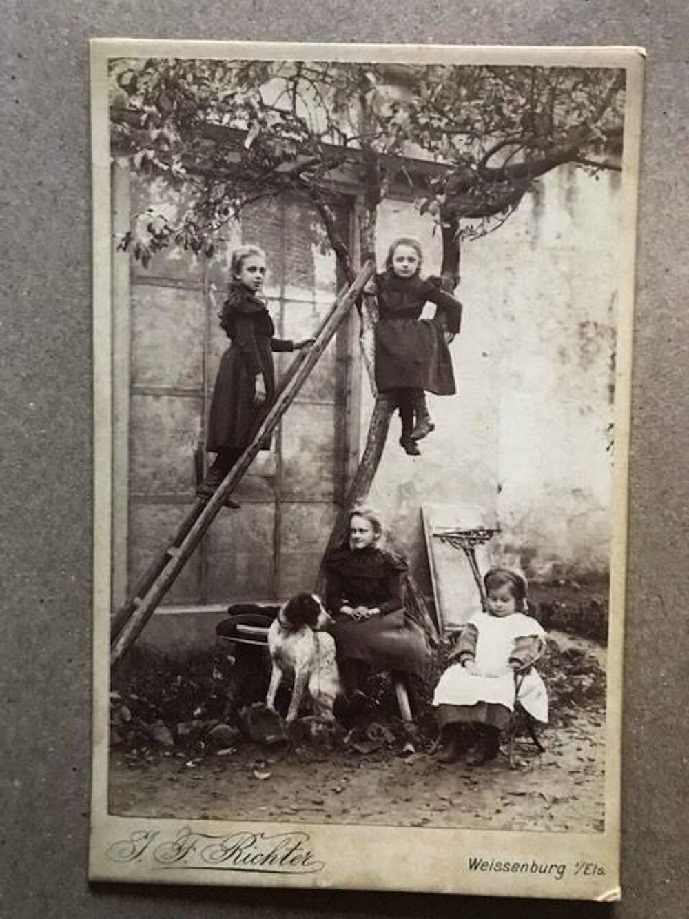 Photo albumine Richter 