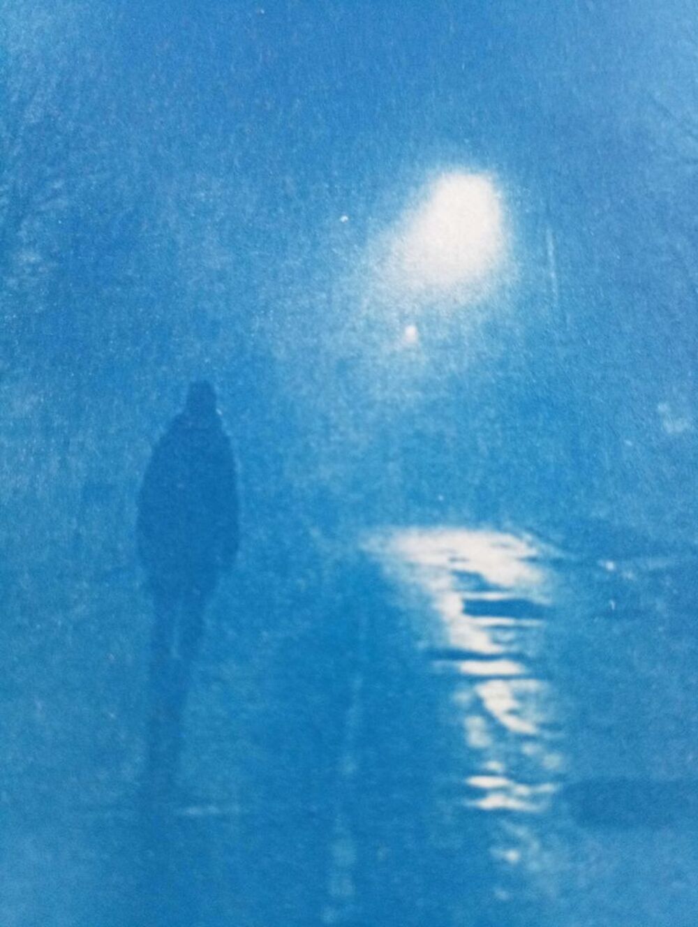 Photographie en Cyanotype, Proc&eacute;d&eacute; Photographique 1842, Bleu de Prusse, "Solitude" version 2, 20,8cm/16,5cm, &eacute;tat neuf Décoration