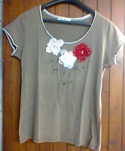 tee shirt fantaisie 5 Breuil-le-Vert (60)