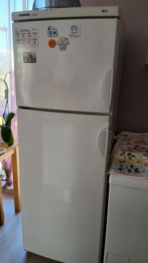 �lectrom�nager
Amiens (80)