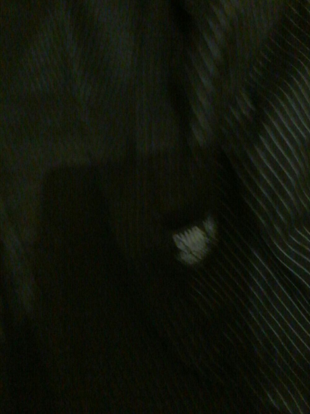 veste en cuir homme Vêtements