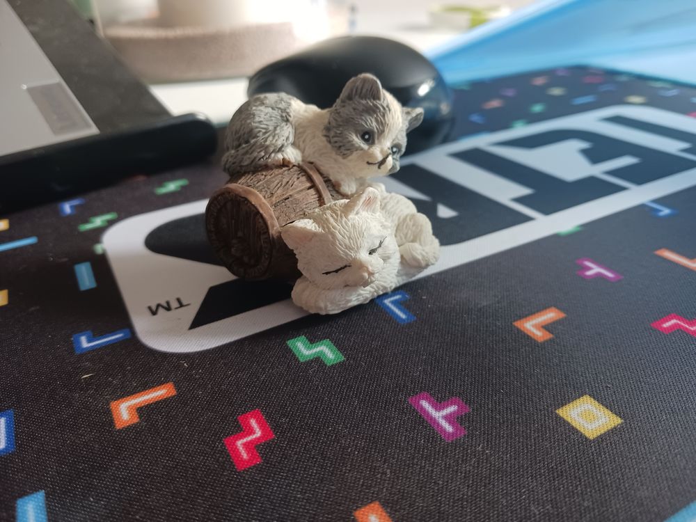 petits chats blanc et gris Décoration
