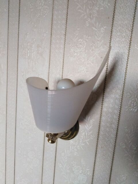 Appliques murales 20 La Jubaudire (49)