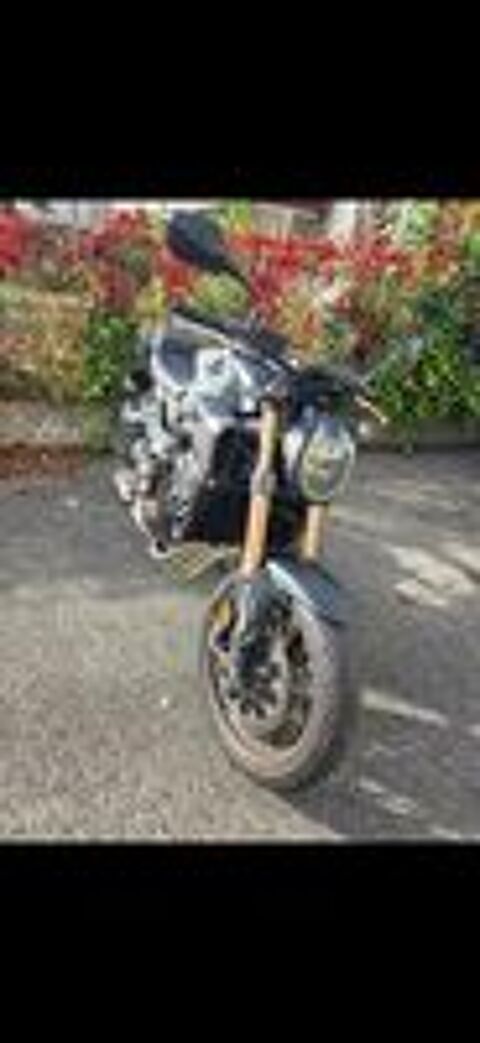 HONDA 2024 occasion 65300 Lannemezan