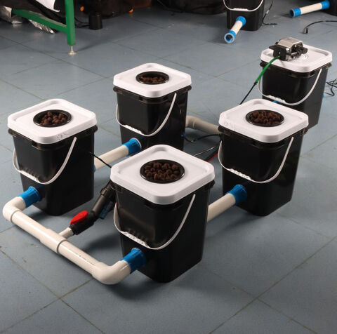 Syst�me Hydroponique N�erlandais en eau Profonde 315 Strasbourg (67)