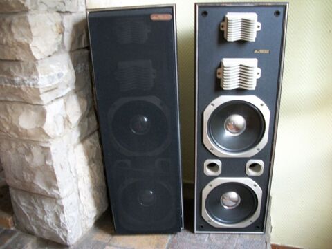 enceinte mercuriale 120 Mimizan (40)