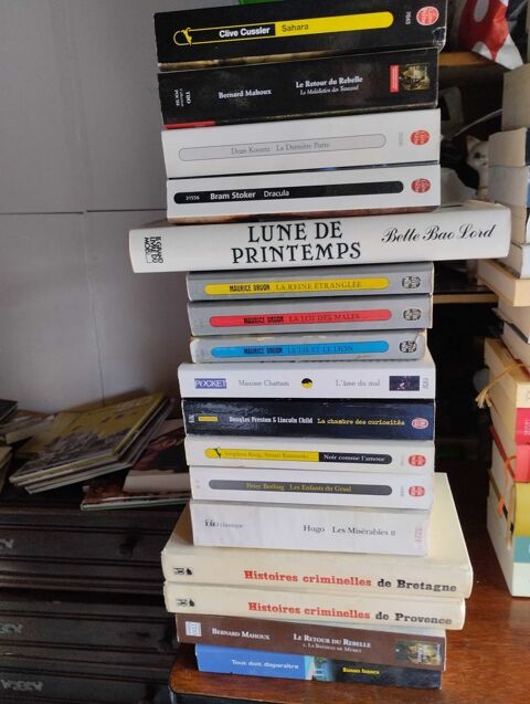 romans 2 Alet-les-Bains (11)