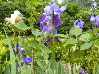  Appartement � vendre 4 pi�ces 85 m�