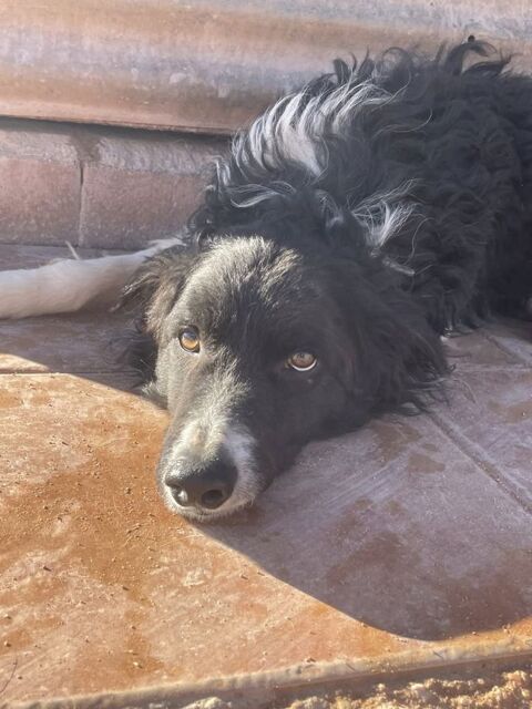 CASPER 320 27620 Gasny