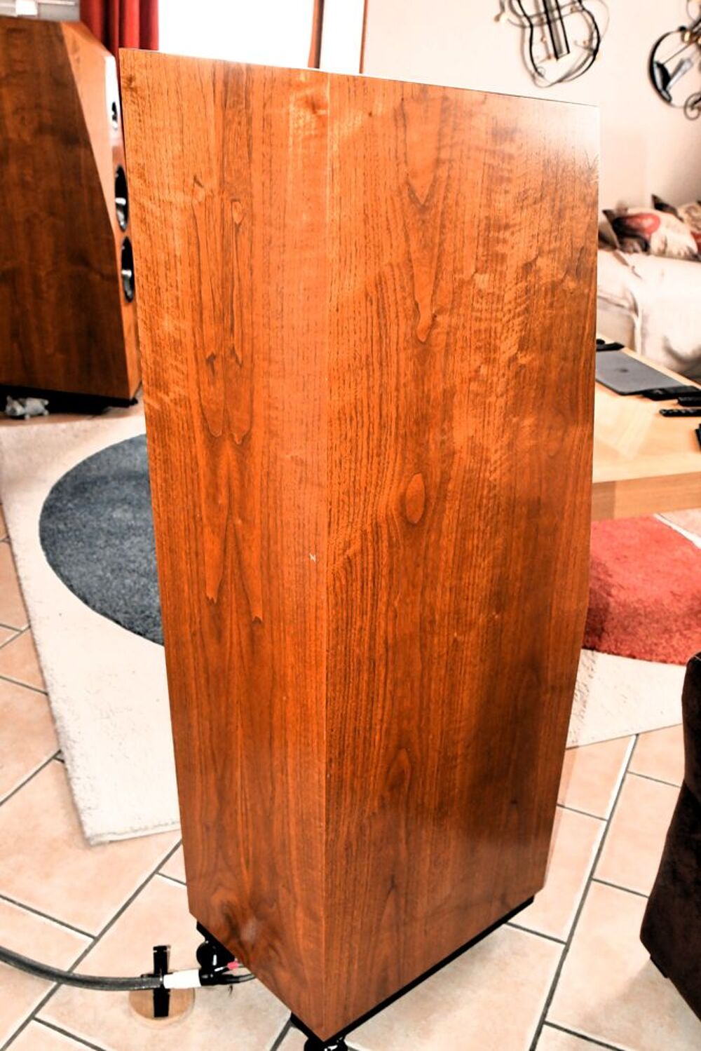 Enceinte colonne Hifi Haut de gamme AVALON Audio et hifi
