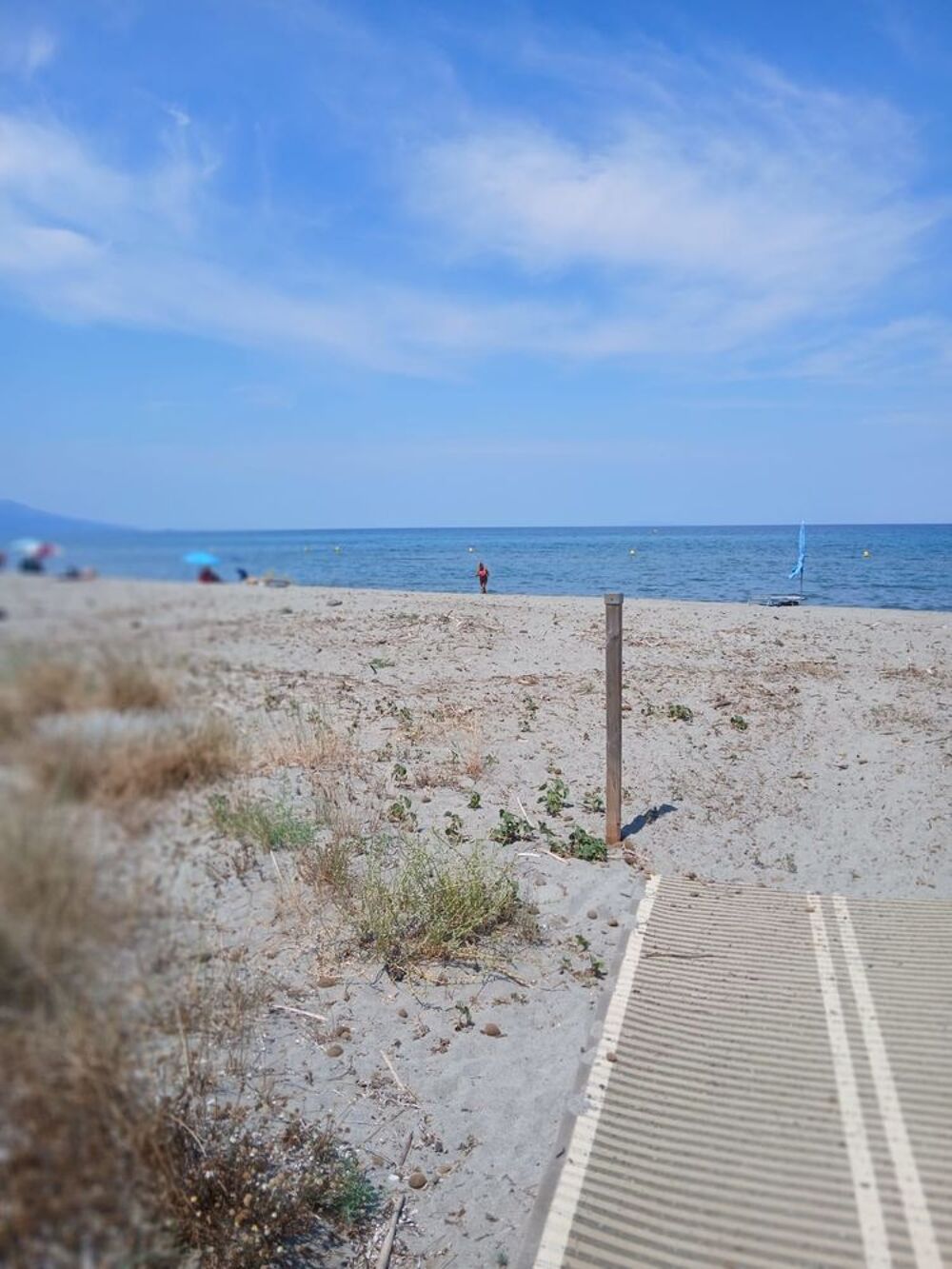 Vente Appartement Beau studio en Corse Borgo
