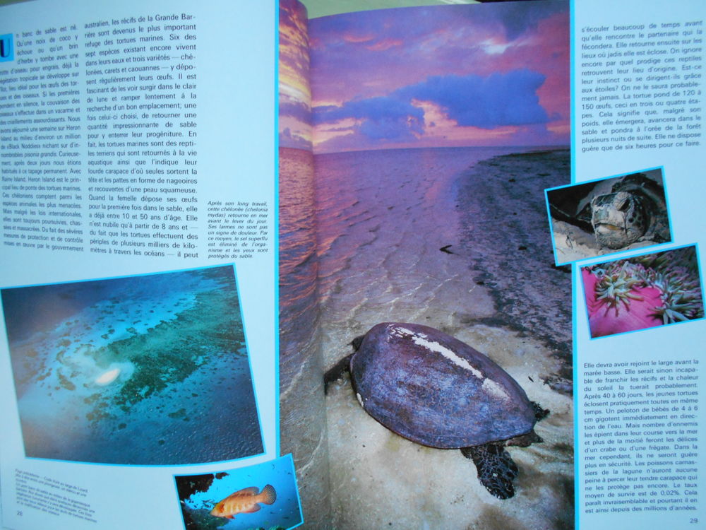 ANIMAN nature et civilisation, no 13 et 23. Livres et BD