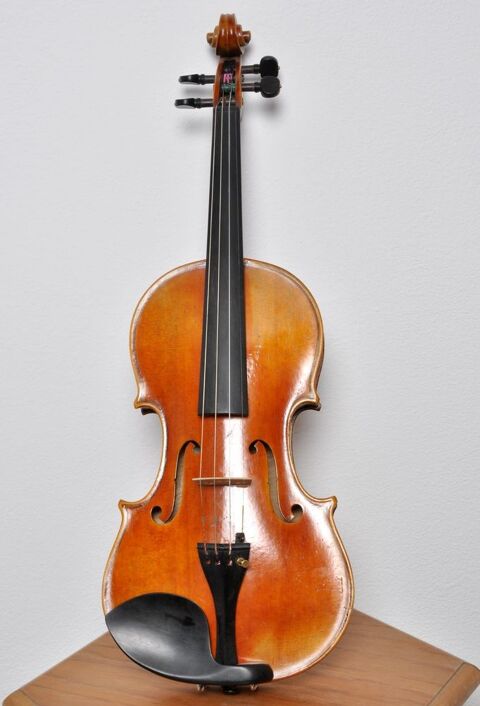 violin 4/4, Jay Haide 2010 1 Beaune (21)