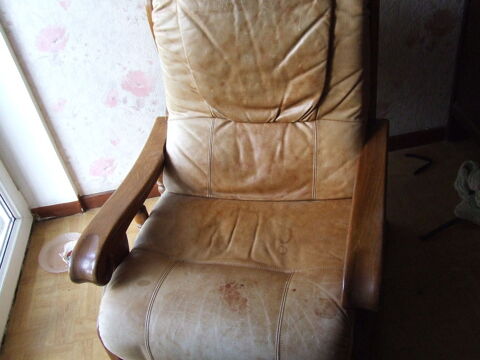 fauteuil 5 Périgny (17)