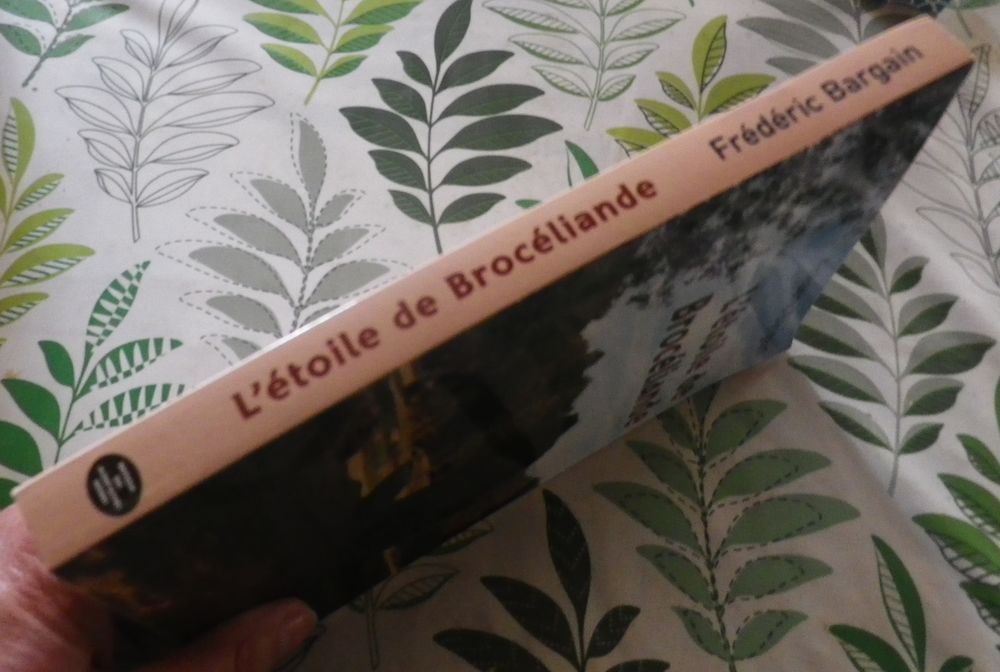 L'ETOILE DE BROCELIANDE de Fr&eacute;d&eacute;ric BARGAIN Ed. des Montagne Livres et BD