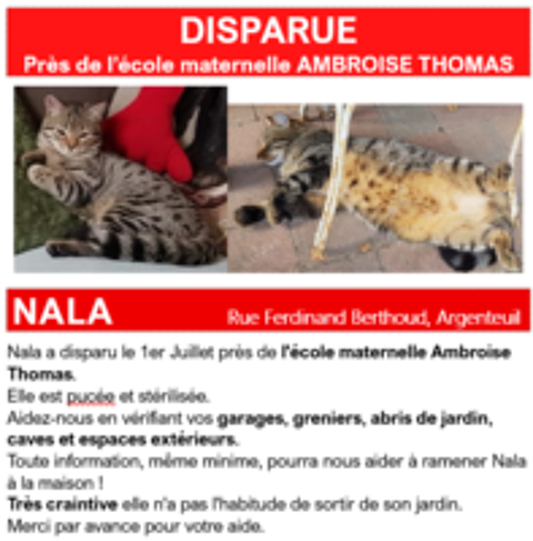   Nala (4 ans) disparue le 01/07/26 à Argenteuil 95100 