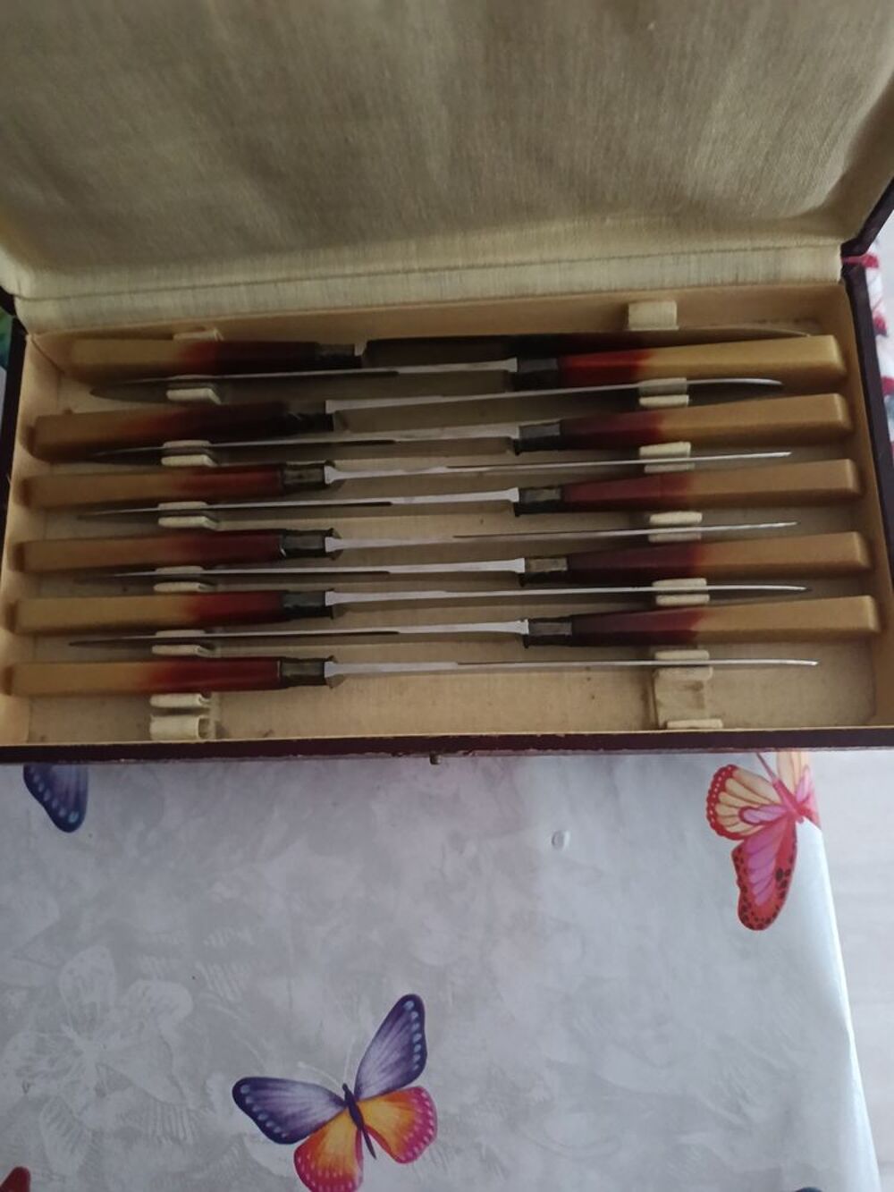 11 Couteaux manche en bois Cuisine