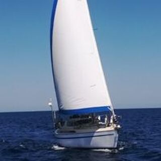 Monocoque 1982 occasion 11370 Port Leucate