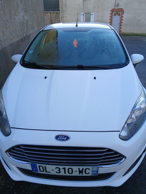 Ford Fiesta 1.0 EcoBoost 100 S&S Titanium 2014 occasion 44190